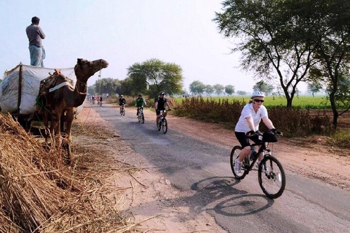 Rural Rajasthan Cycling Tour 11 Days